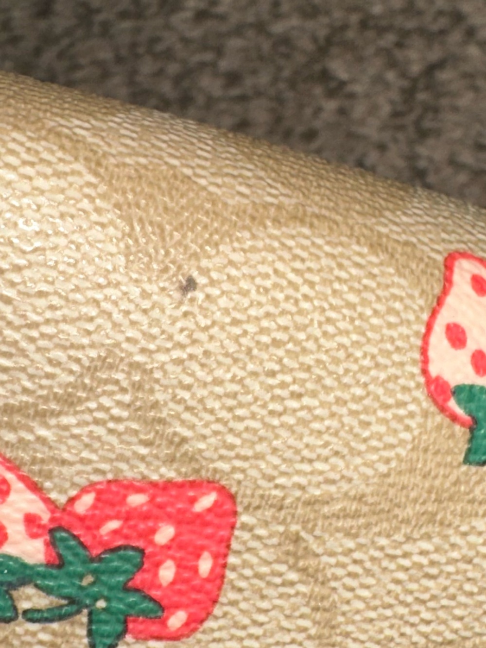COACH Sunglass Eyeglass Case Strawberry Print CB61 Tan Brown Leather Glasses - Picture 5 of 7